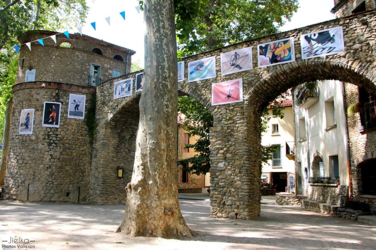La Cigogne Apartamento Céret Exterior foto