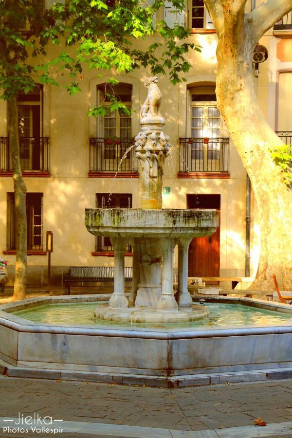 La Cigogne Apartamento Céret Exterior foto