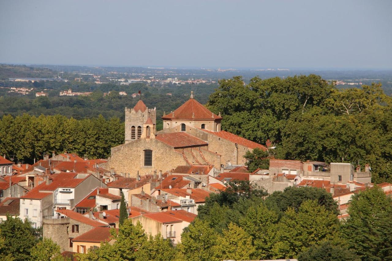 La Cigogne Apartamento Céret Exterior foto