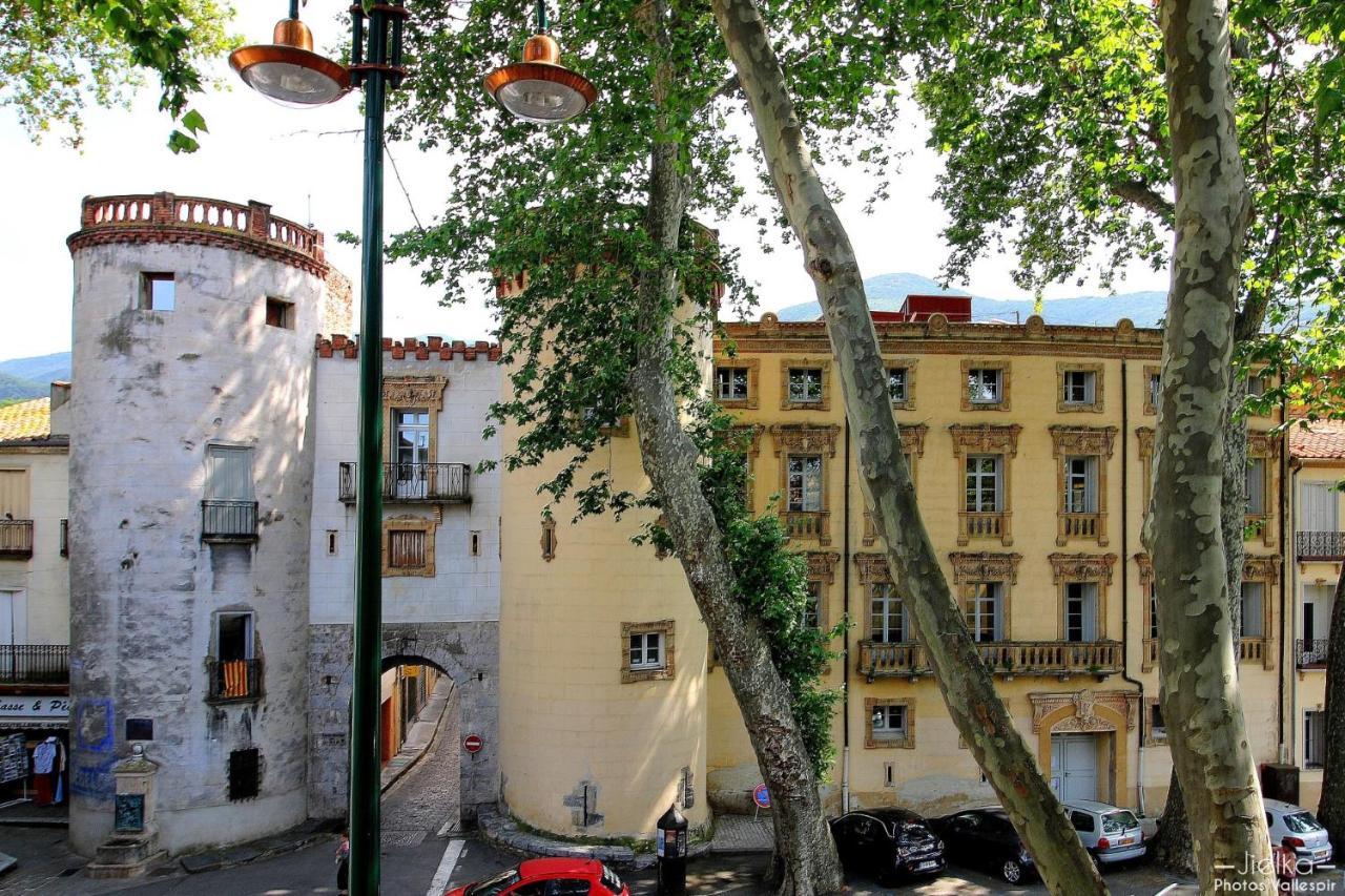 La Cigogne Apartamento Céret Exterior foto